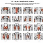 Flexxp.com: Unlock Your Fitness Potential with the Ultimate Workout Generator