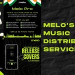 Melo’s Subscription Plans: The Best Solution for Artists & Labels Releasing Bulk Music in 2025