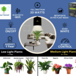 BASICS: Plant Light + Indoor Plants = Healthier Air & Healthier You