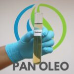 Fueling a Sustainable Future: Pan Oleo Energy's Blueprint for Next-Gen Sustainable Fuels