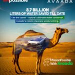 Mission Possible with Avaada: Inspiring Collective Climate Action on World Environment Day