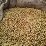 India’s Non-GMO Soy Sector Prepares for EUDR Compliance with Support from SOPA and TRST01