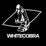 “White Cobra: The Indian Brand Selling ₹20K Luxury Shirts for Just ₹3,499 — And Planting a Tree with Every Order”