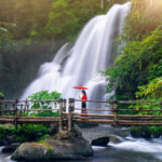 Why Liberty Vacations International Is Trusted By 10,000+ Travellers