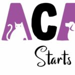Mumbai’s Strays Get a New Home and Care with ANACARE