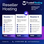 TrustedHosting.in Declared as India’s Best Reseller Hosting Provider