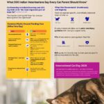New Data Debunks Cat Food Myths with Veterinary Support on International Cat Day