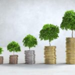 Balanced returns: why hybrid mutual funds are in demand