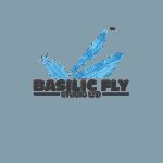 Basilic Fly Studio Limited Announces Opening of Qualified Institutional Placement (QIP)