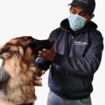 Skip the Trip: Pet Groomly Brings Full Pet Wellness Services to You, Nationwide
