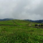 Kashmir Tour Mart: Pioneering Travel Experiences from Srinagar Since 2006
