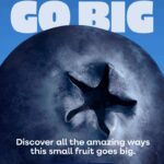 New Study Suggests Substituting Common Fruits with Berries, Including Blueberries, May Lower Cardiovascular Disease Risk