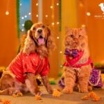 HUFT Launches ‘Dil Se Desi’ — A Festive Collection That Celebrates Pets as Family