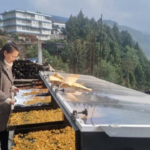 NEIDA x Rudra Solar Energy: Empowering Nagaland’s Hill Entrepreneurs with Clean Drying Technology