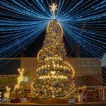 Where Christmas Breaks Convention: Surreal Global’s Signature Seasonal Expression