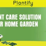 Sustainable Gardening Starts at Home: How Plantify Garden Encourages Eco-Friendly Plant Care