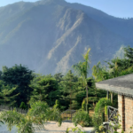 The True Importance of Retreats in Health and Wellness