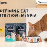 Meowsi by HUFT Takes the Lead on Redefining Cat Nutrition in India