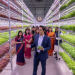 Ravindra G: India’s Microgreens Mentor Building a New Urban Farming Ecosystem Ravindra G: India’s Microgreens Mentor Building a New Urban Farming Ecosystem