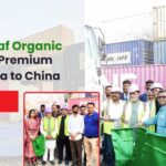 Root2Leaf Organic Leads Export of Premium Makhana to China, Strengthening India’s Global Superfood Presence