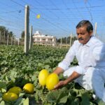 Mekala Shiva Shankar Reddy: The Farmer Innovator Transforming Drought-Hit Anantapur into a Hub of Profitable Agriculture
