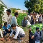 25,000+ Farmers, 84,000+ Farming Interventions: How GNFC is Shaping the Future of Agriculture in Gujarat