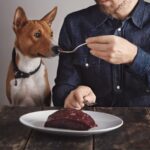 Behind the Cake: What Goes Into a Pet-Safe Dessert?