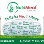 Silage Agro Private Limited and NutriMeal Transform Cattle Nutrition in India with a Scalable Farm to Feed Vision