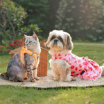 HUFT’s New Summer ‘26 Collection Turns Everyday Moments into Little Tales of Joy