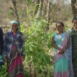 Industree Foundation Secures India's First FSC® Forest Management Certification for Smallholder Bamboo Farmers, Opening Doors to Global Markets