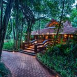 Thai Delicacies at The Banyan Tree This Goa Monsoon Feast Thai Delicacies at The Banyan Tree This Goa Monsoon Feast