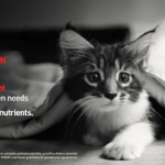 Royal Canin urges pet owners to look beyond home-cooked meals with the launch of their new brand campaign