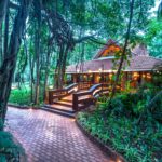 Lost Recipes: A Journey into Thailand’s Culinary Memory