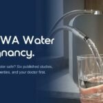 Alkaline Water in Pregnancy: What Six Published Studies Actually Say