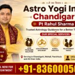 Best Astrologer in Chandigarh - Astro Yogi India Chandigarh | Pt Rahul Sharma