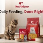 From Emerging Category to Growth Engine: How Heads Up For Tails Is Redefining Accessibility in Quality Cat Nutrition